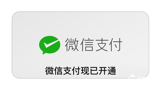 强龙难压地头蛇 App Store支持微信支付|支付宝