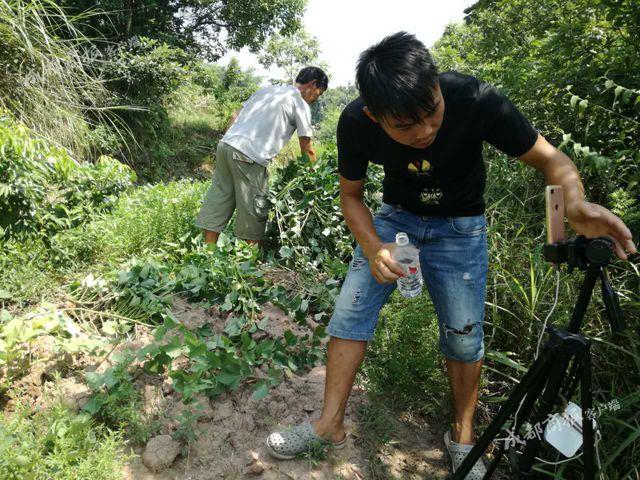 男子直播农村生活:半年获打赏8万 父母乡邻不