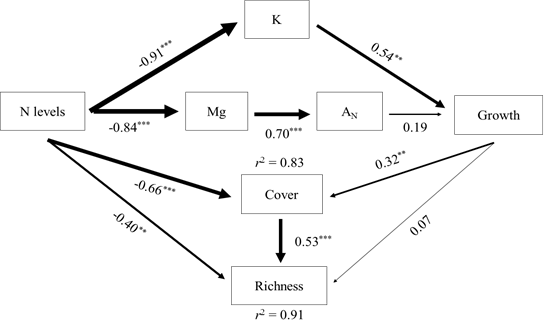 版纳植物园揭示附生苔藓对氮沉降的响应模式