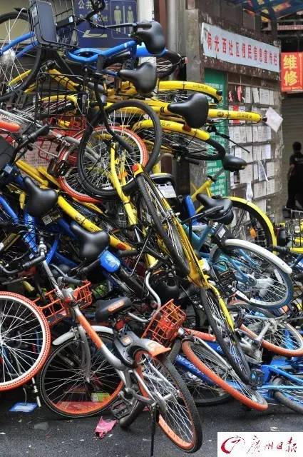广州今起叫停新投放共享单车!摩拜、ofo等平台