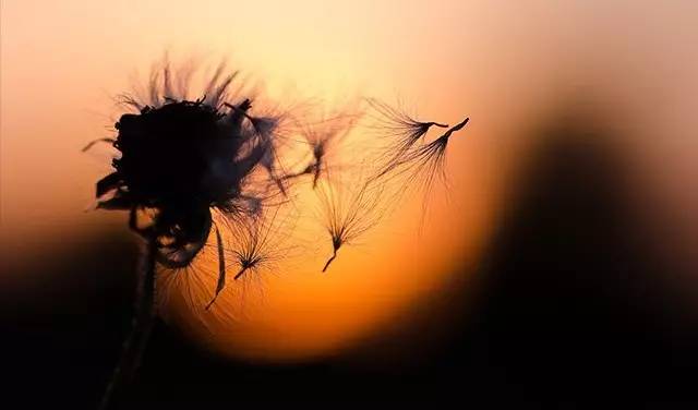 秦朔:海底捞事件折射出消费者需要怎样的企业