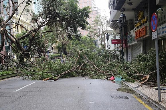 地方新闻精选| 陕西出台高校困难生认定标准:常