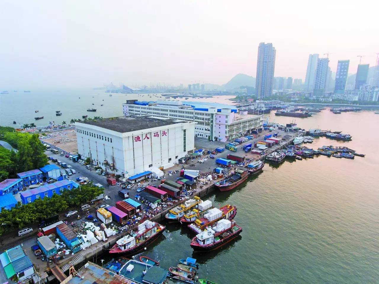 至今 仍有很多深圳人保留着特意到蛇口这里买海鲜的习惯.