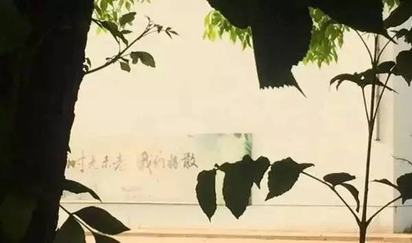 南大迎水道A地块56.5亿元卖了!再见了,曾经的