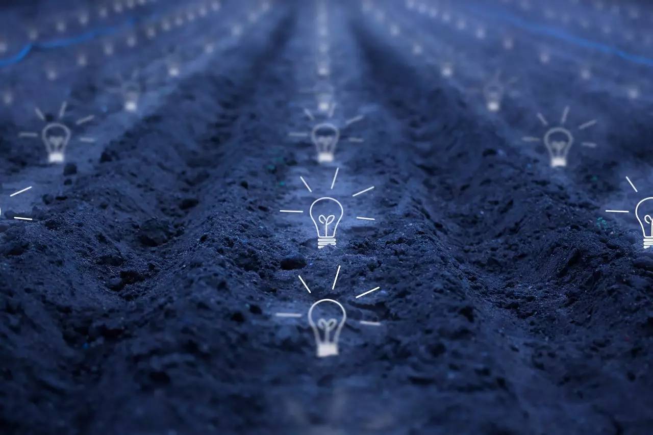 多少人输给了一句我本可以|新生|图书馆|大学