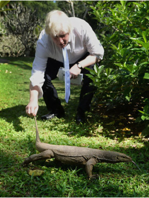  约翰逊在新加坡植物园里抓巨蜥尾巴