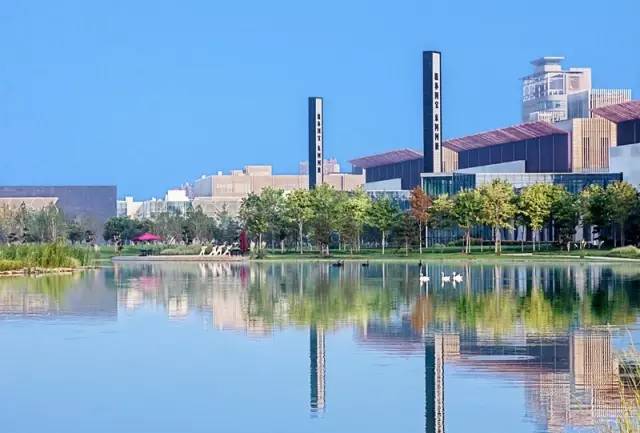 东阿阿胶干了些什么?丨全景调查|东阿阿胶|全