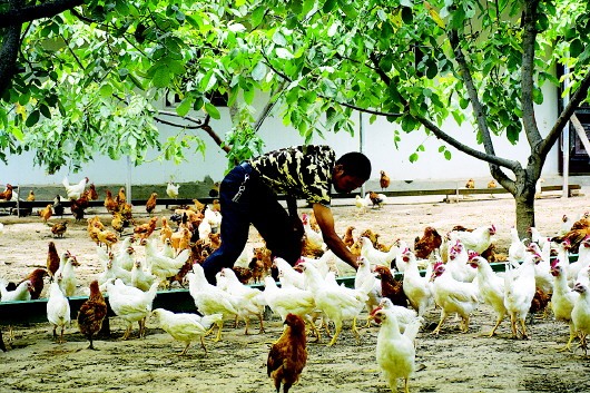 8月30日起,除中尼两国的第三国人员持有效证件