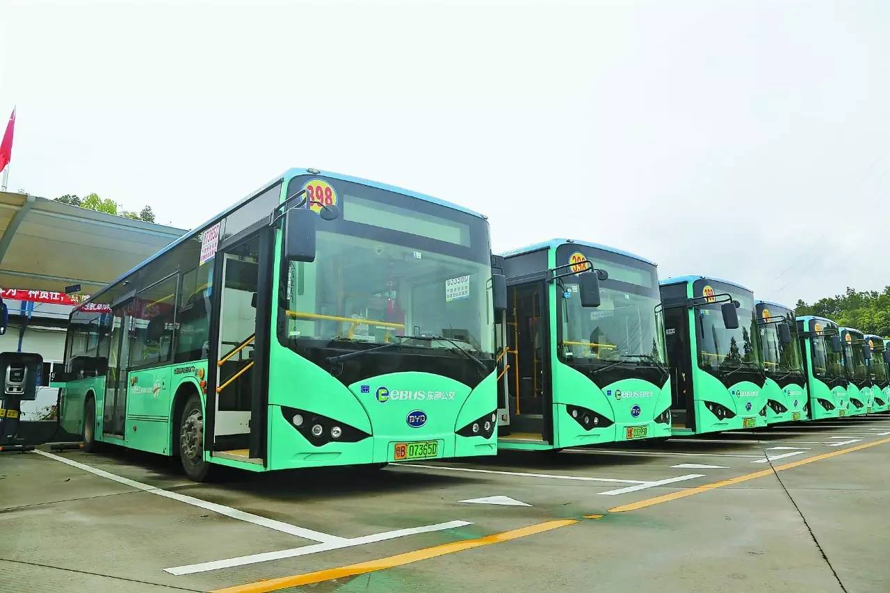 实拍深圳:公交车上的人群，你每天是这样出行的吗？
