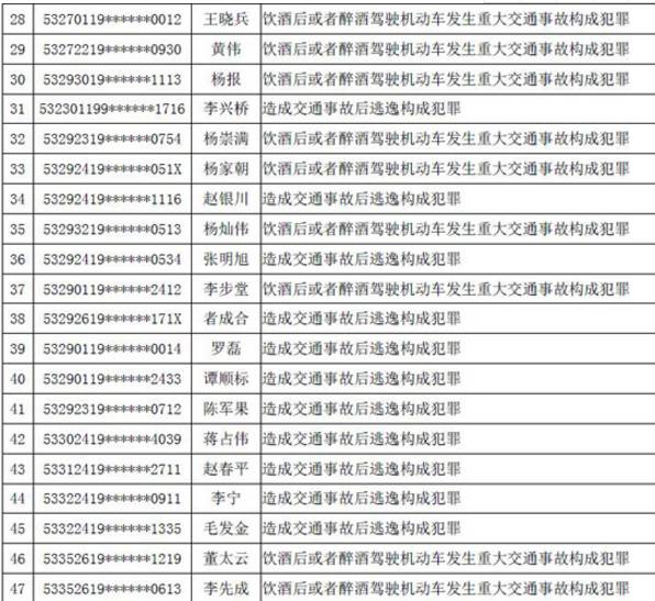 全国有驾照的男性人口_男性头像内涵有深度(3)