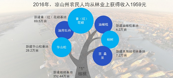 彝族人口_我国西南地区彝族人口空间分布研究