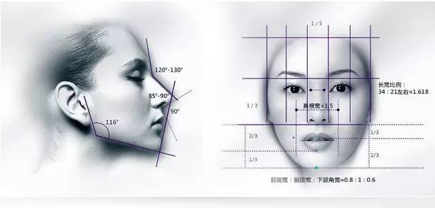整形医师眼中的黄金比例?「三庭五眼」理论告