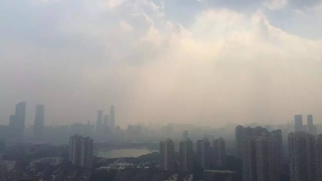 第16号台风玛娃周末或向广东袭来!深圳这些