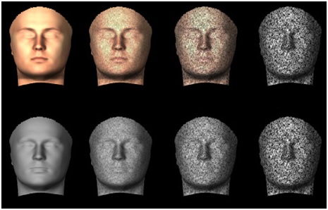 大脑:凹进去的脸?不存在的|错觉|大脑|凹陷