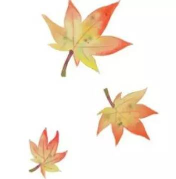 旅游一次太贵?海口新开的这条低成本航线让你