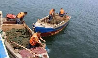 史上最长休渔期结束,一批批大海鲜正在路上!价