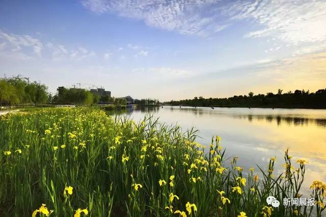 【美好】名校附属+生态课堂,崇明教育资源惹人