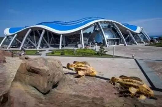 东北亚博览会昨日开幕!好吃的、好玩的全攻略