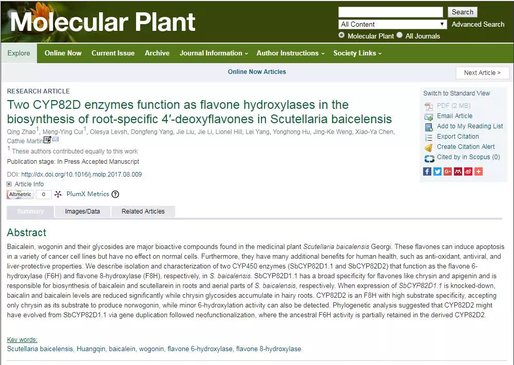 辰山科学家在黄芩素合成途径研究中取得重大突