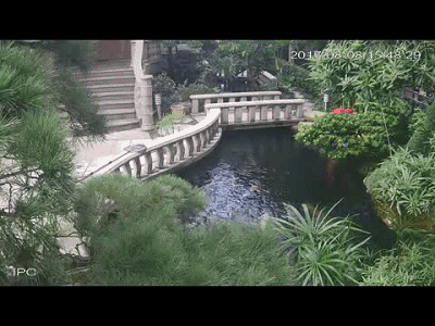 400_300gif 动态图 动图