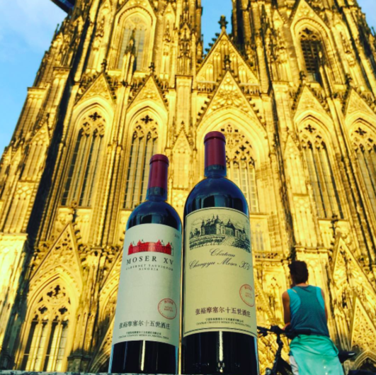 智利十大红酒品牌排行_关于智利葡萄酒的10个事实