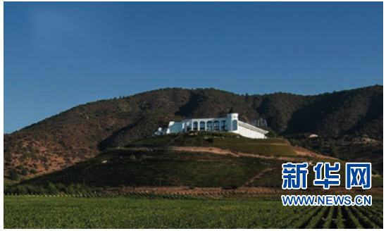 全球10大葡萄酒品牌排行榜揭晓 张裕位列第四