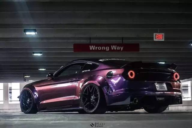 宽体野马才是真正的