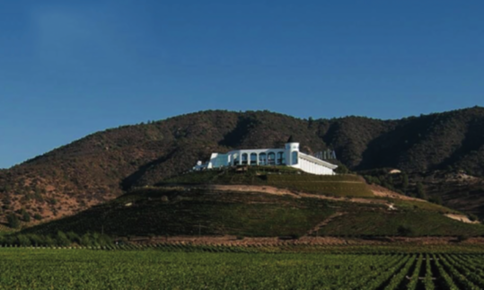 全球10大葡萄酒品牌排行榜揭晓 张裕位列第四