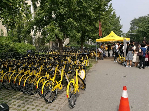 北大师生专用共享单车助力新生开学|新生|北大
