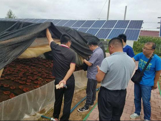 吉林省吉林市审计局开展扶贫项目资金专项审计