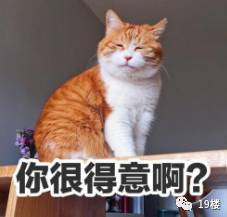 网友实名举报中华气死猫!听完也是哈哈哈哈哈