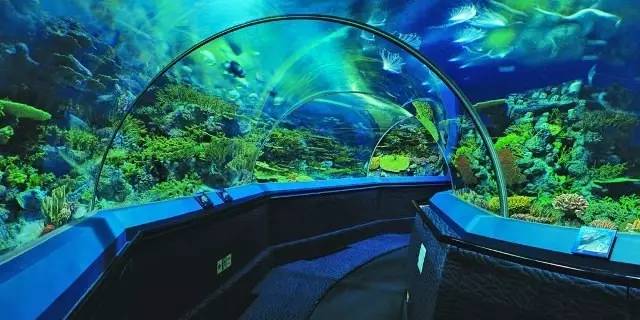 有着数!这两省市景区门票免费、半价,广州人走