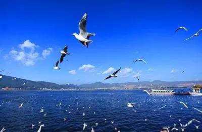 9月机票白菜价!从成都出发到全国,最低99元!错