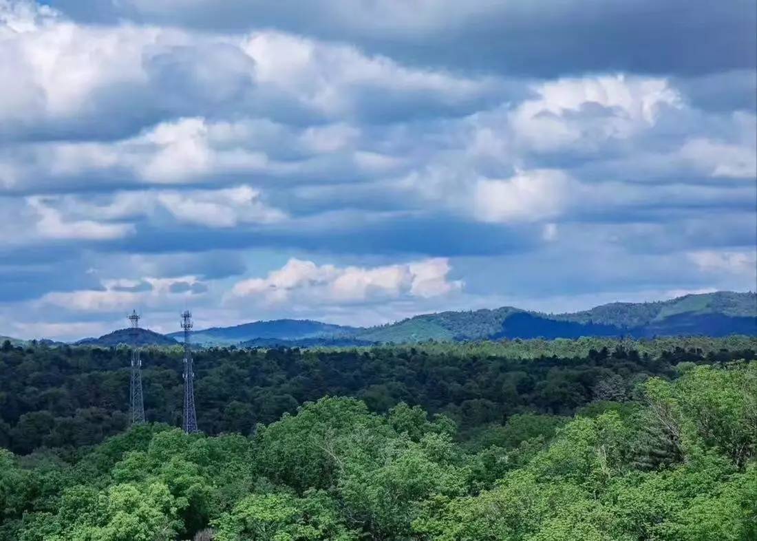 绿色发展白山:矿泉产业流金淌银、人参经济