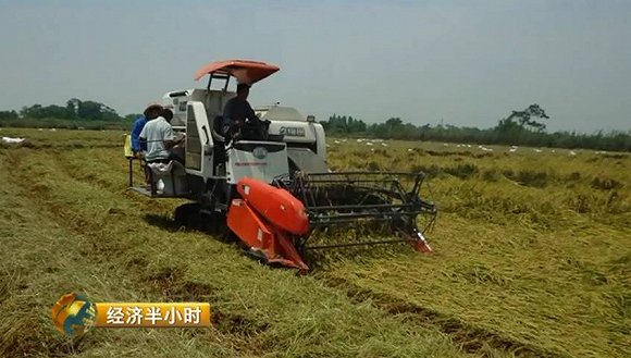 江西农业大学2020年_相聚西湖里共叙江农情!江西农业大学浙江校友2020年