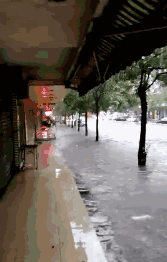 343_537竖版 竖屏gif 动态图 动图