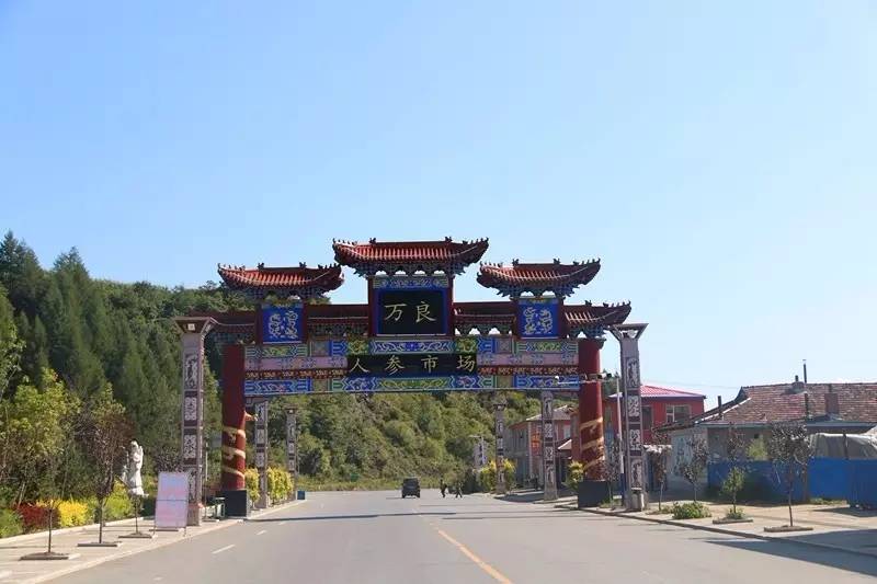 绿色发展白山:矿泉产业流金淌银、人参经济