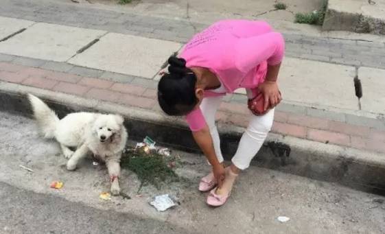 美女主持自曝遛狗不拴绳遭暴打“毁容”？！到底是谁错了？