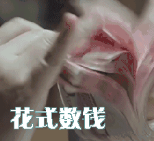 花式数钱