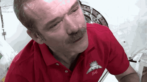 500_280gif 动态图 动图