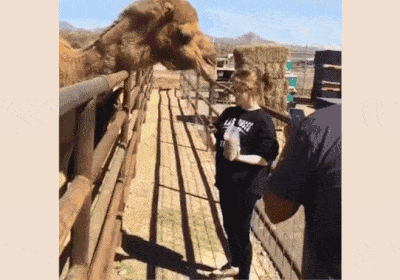 妹纸,你这是想展示什么