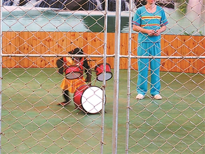 ϷűݵĽĿ걨 ͼ