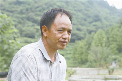 “落松地啊,请你听我说”