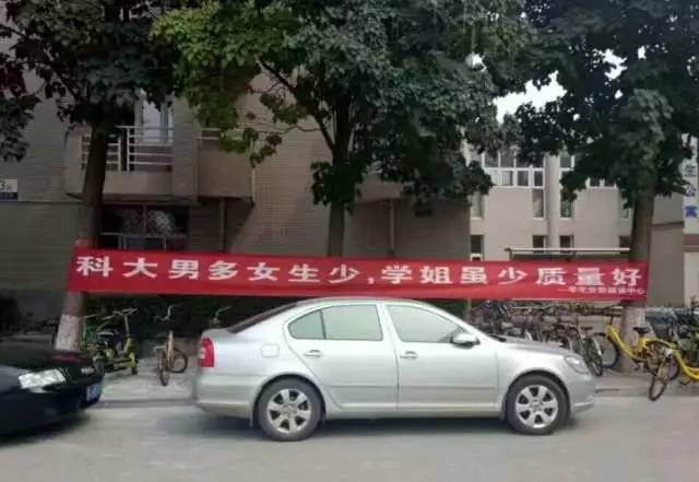 校园 | 又来了!开学季各高校迎新条幅简直笑到不