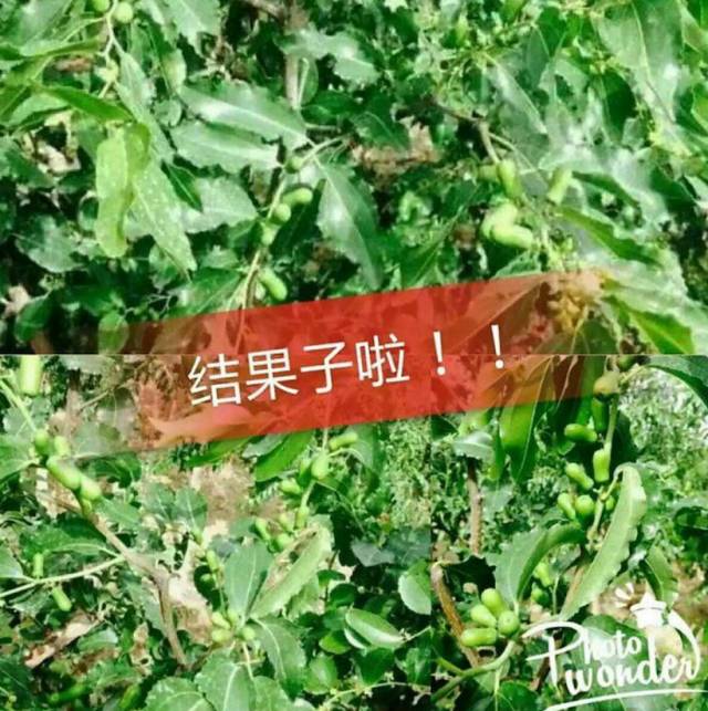 ½»۸ֱ12Ԫʺ϶