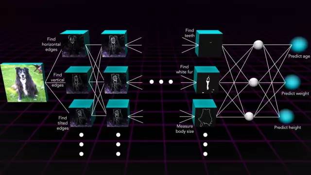 如何用神经网络识别你家的狗 | 檀闲篇_财经头