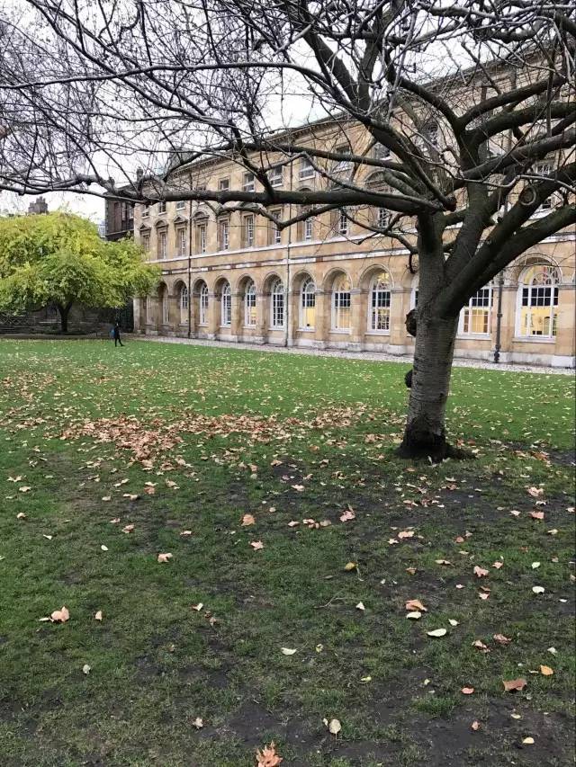 大连17岁男孩被剑桥哲学专业提前一年录取 世