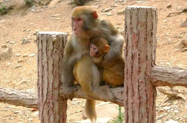 玩大了!今起,全国400多景区免费或半价!错过你