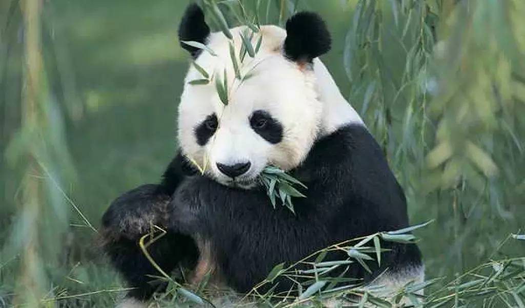 地铁10号线今天9:16首发!四川发布全程直播| 早