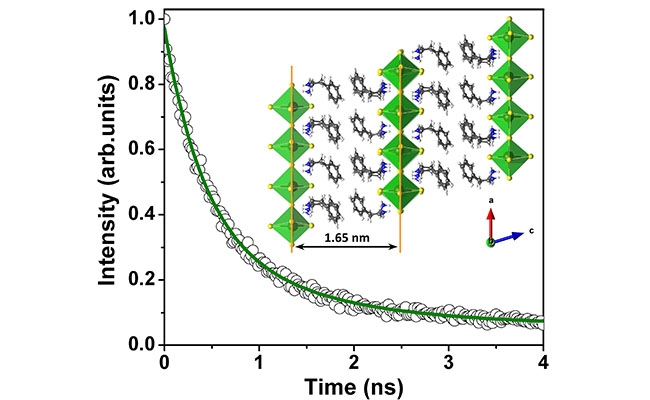 大连化物所二维非铅钙钛矿动力学机理研究取得